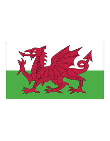 Fahne Wales