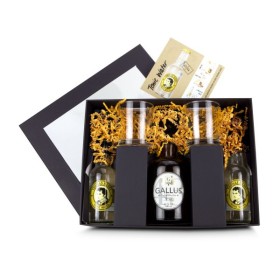 Geschenkset / Präsenteset: Gin Tonic Set Gallus 43