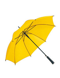 Automatic Umbrella