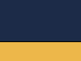 Navy/Gold